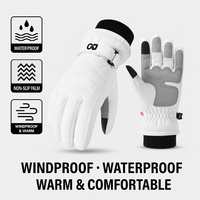 Ski Waterproof Gloves