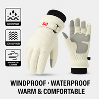 Ski Waterproof Gloves