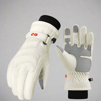 Ski Waterproof Gloves