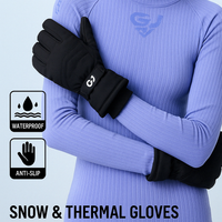 Ski Waterproof Gloves